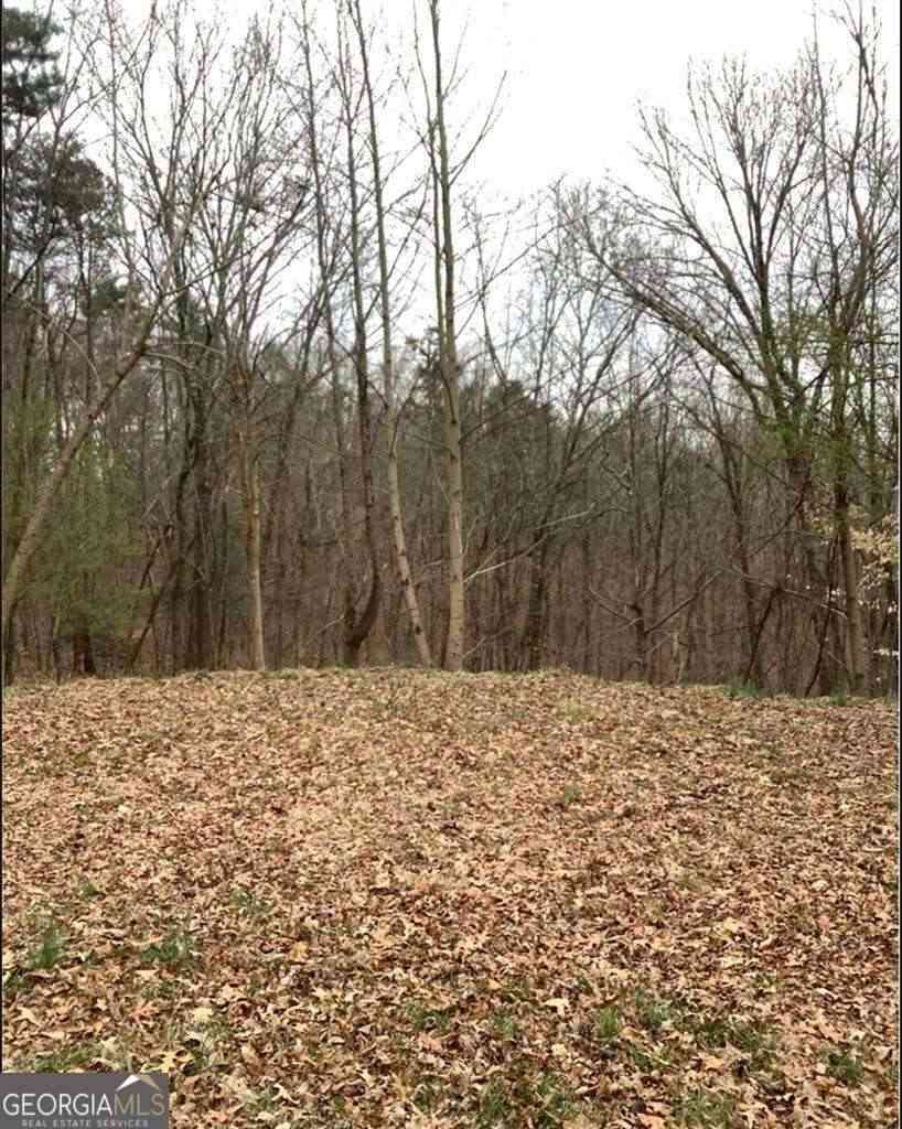 Vacant Land For Sale - LOT 40 Timberwalk Drive #40<br/> Ellijay, GA 30540