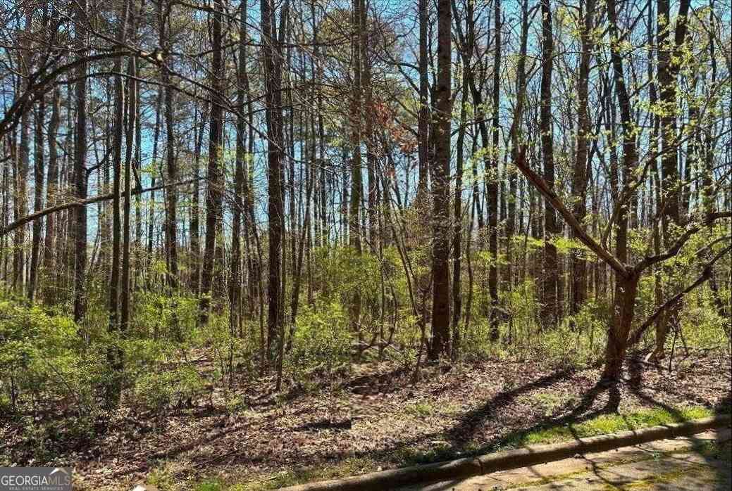 Vacant Land For Sale - 4310 Loveless Place<br/> Dekalb County, Ellenwood, GA 30294