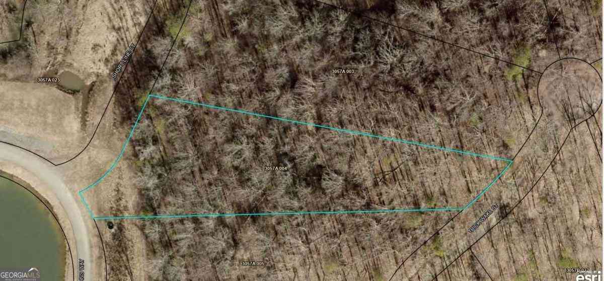 Vacant Land For Sale - Trick Wake Street<br/> Talking Rock, GA 30175