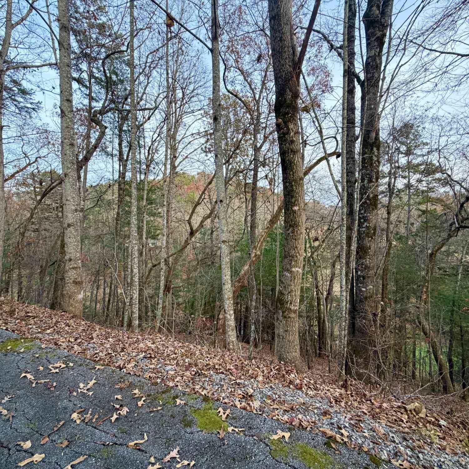 Vacant Land For Sale - 104 Kingwood Court Lane<br/> Clayton, GA 30525