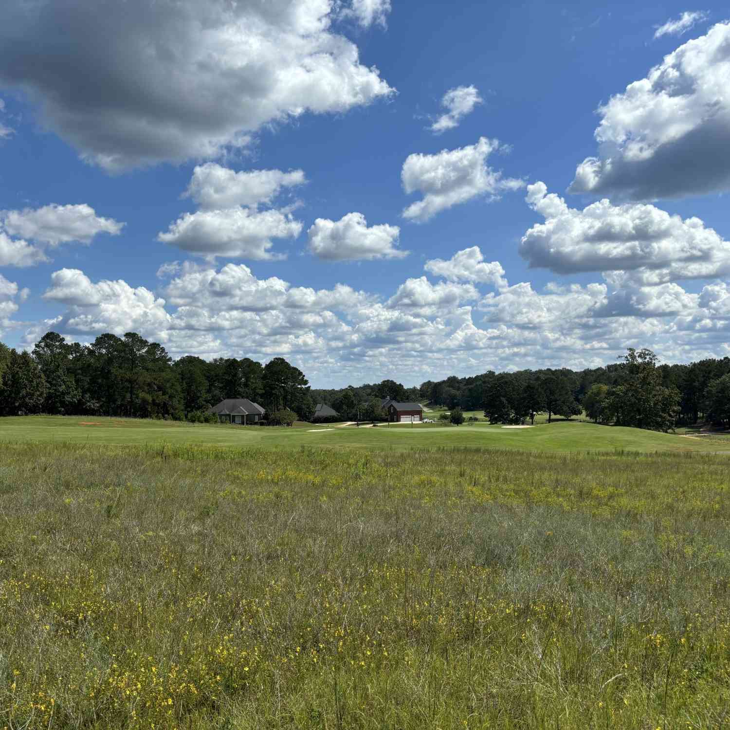 Vacant Land For Sale - LOT 16 BLOCK B Camden Way<br/> Hawkinsville, GA 31036
