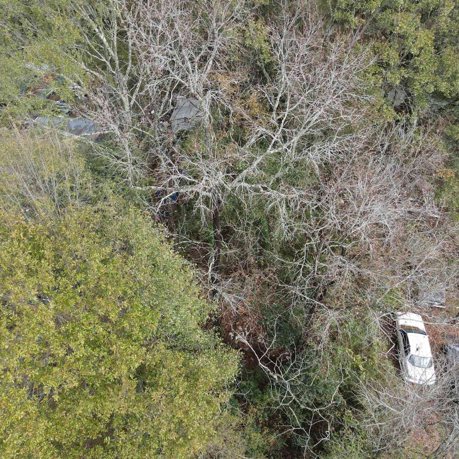 Vacant Land For Sale - 224 Eastbrook Avenue<br/> Griffin, GA 30223