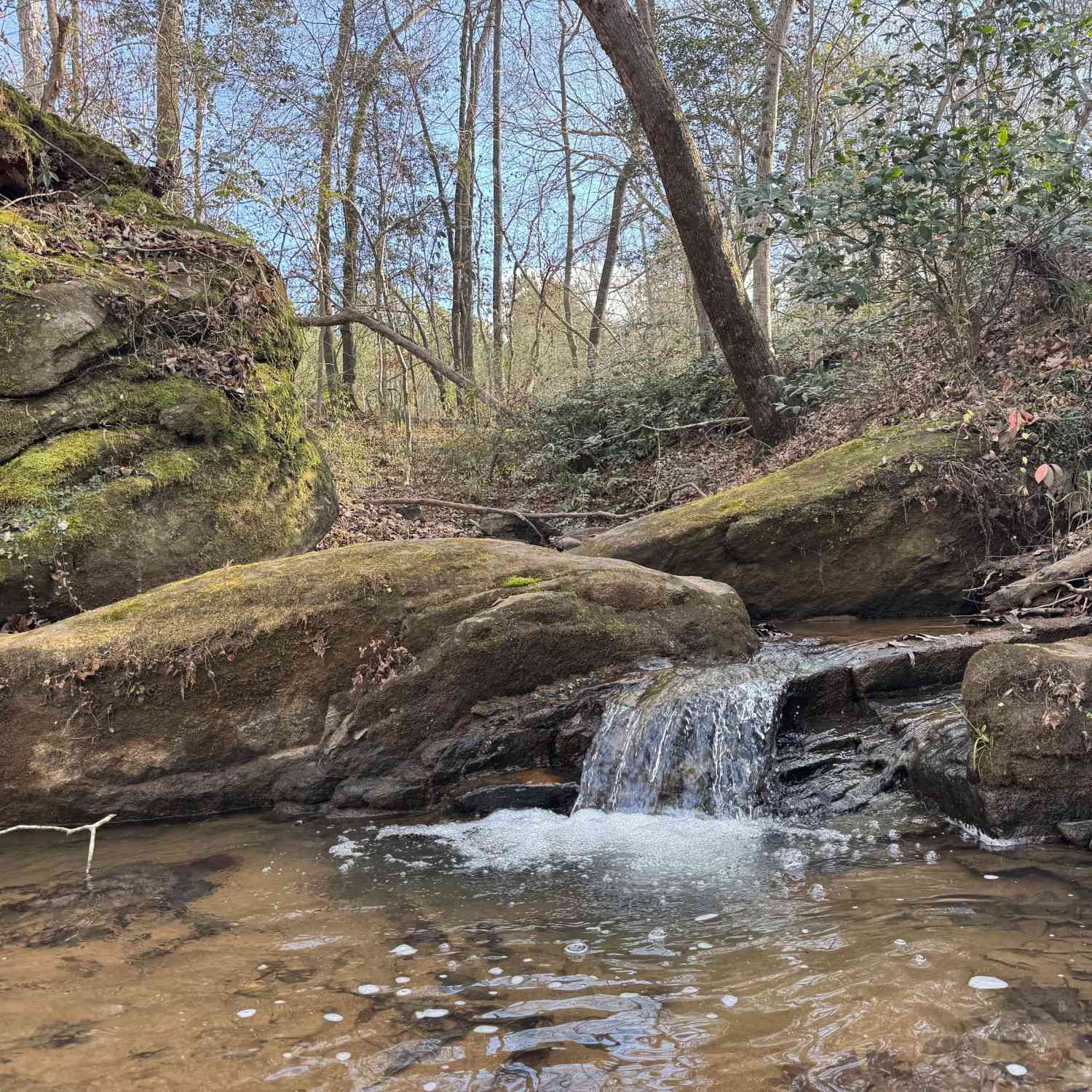 Vacant Land For Sale - 1190 James Adams Road<br/> Danielsville, GA 30633