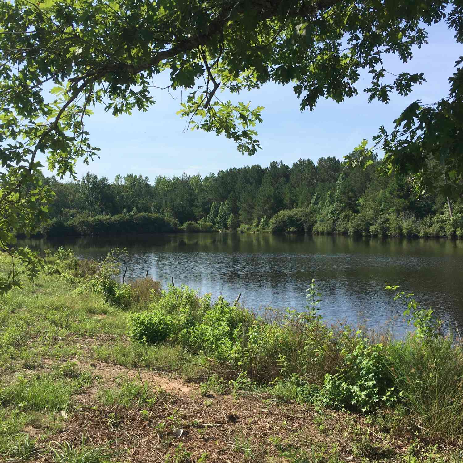 Vacant Land For Sale - 3031 Highway 138 NE<br/> Conyers, GA 30013