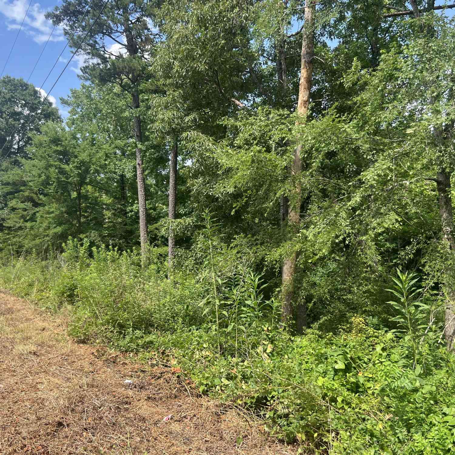 Vacant Land For Sale - College View Drive<br/> Rome, GA 30161