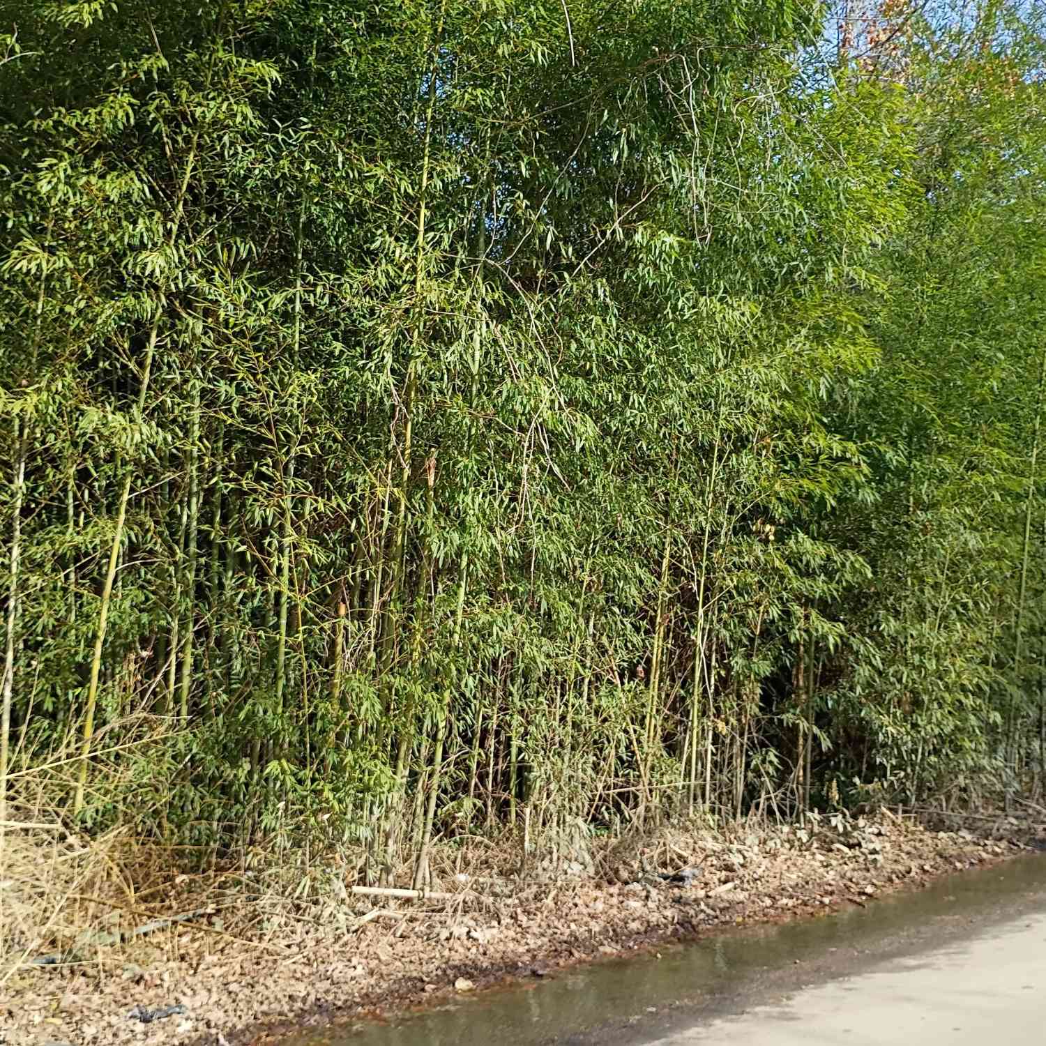 Vacant Land For Sale - 4131 Fairburn Avenue SW<br/> Atlanta, GA 30331
