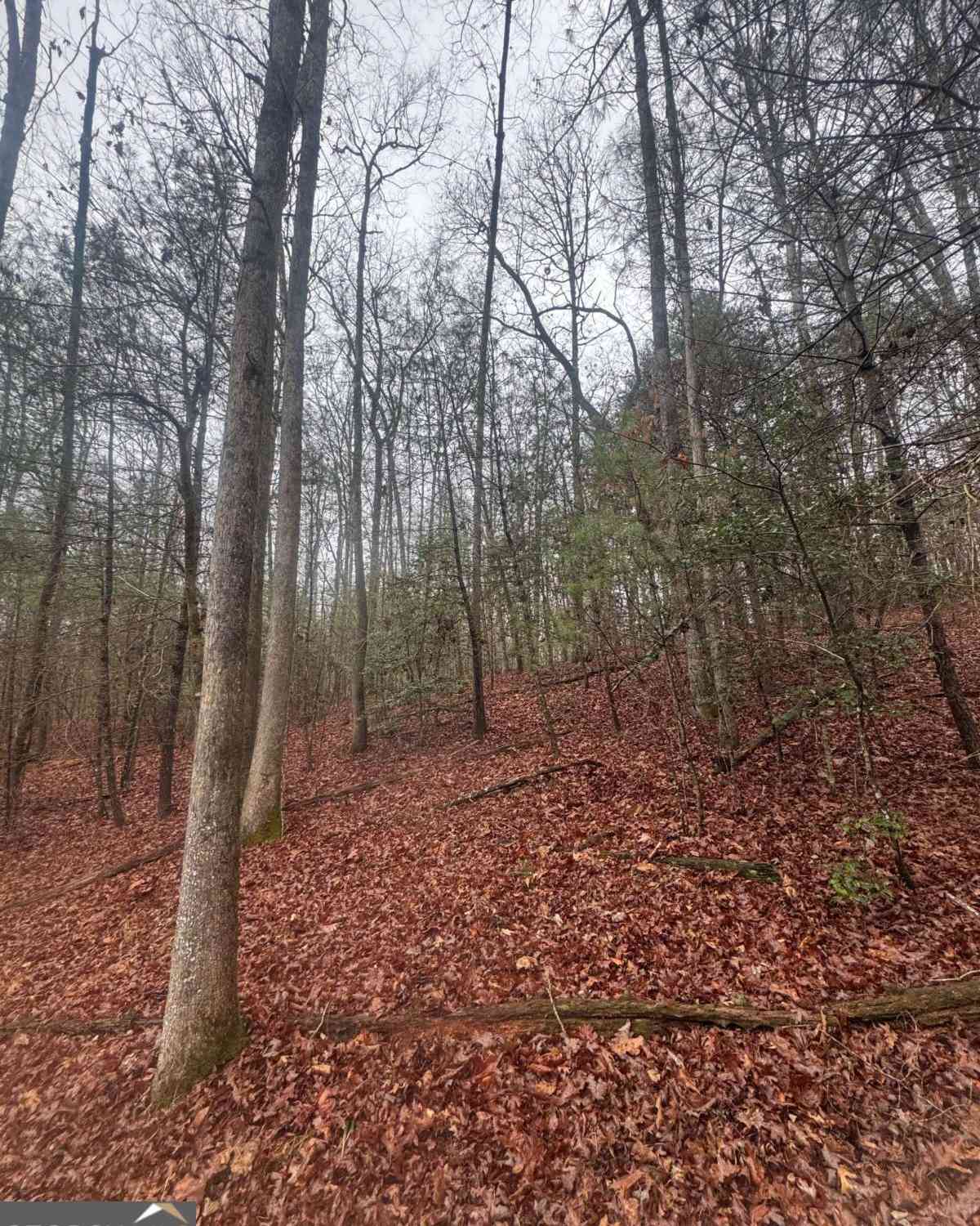 Vacant Land For Sale - W Mountaintown Trail<br/> Ellijay, GA 30540