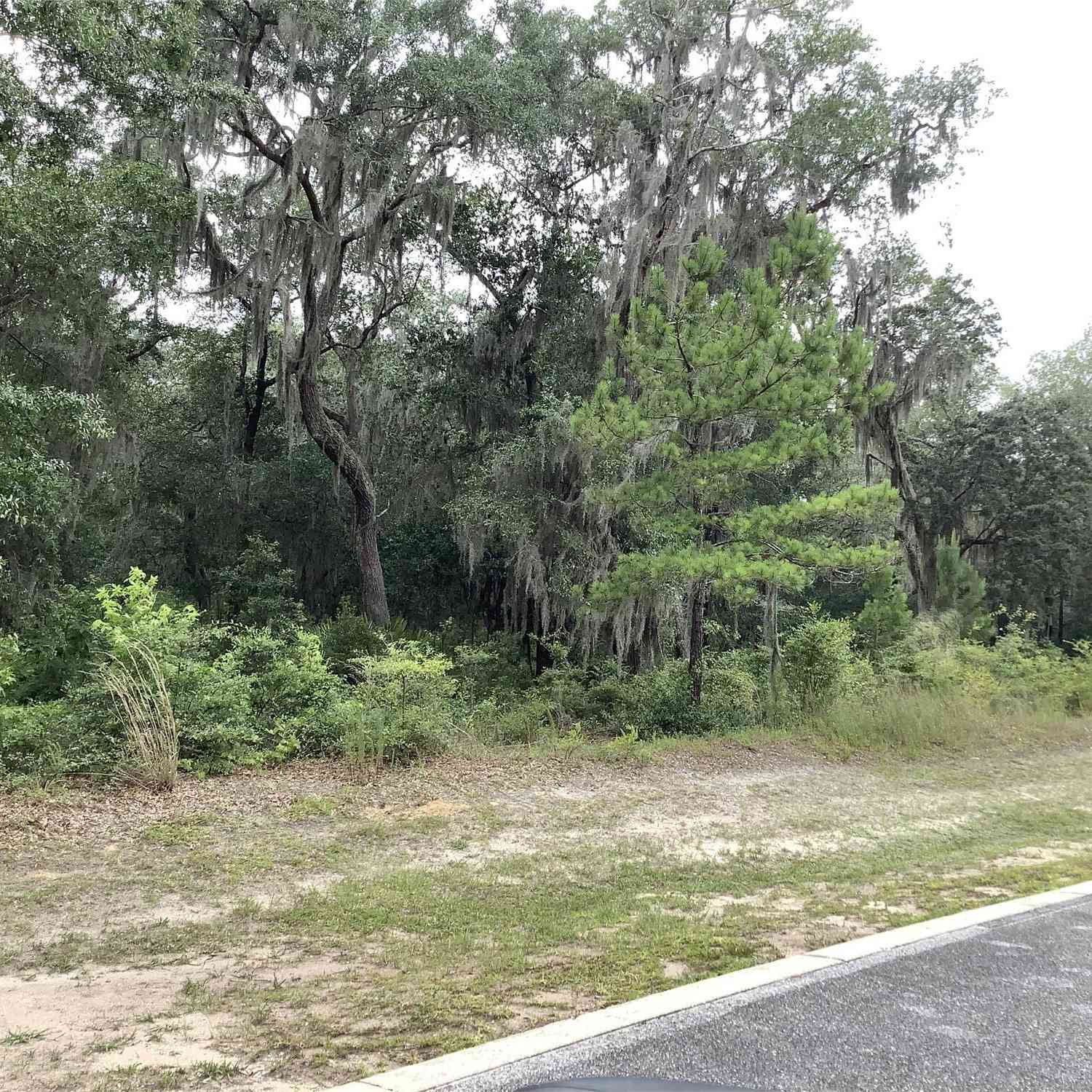 Vacant Land For Sale - 116 Annapolis Drive<br/> Waverly, GA 31565