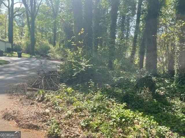 Vacant Land For Sale - Mckay Drive SE<br/> Atlanta, GA 30315