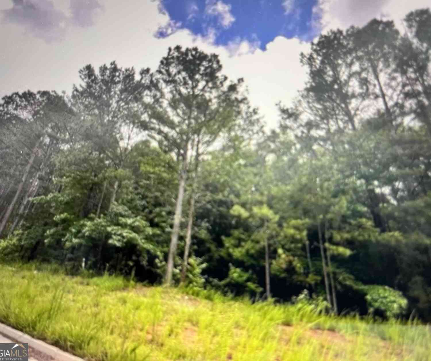 Vacant Land For Sale - 1058 Waverly Drive<br/> Griffin, GA 30224