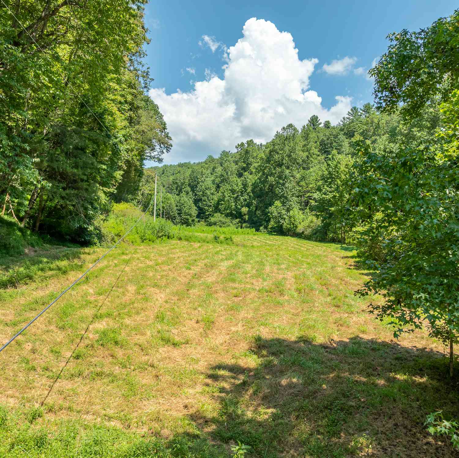 Vacant Land For Sale - TR 3B Wolf Pen Gap Road<br/> Ellijay, GA 30540