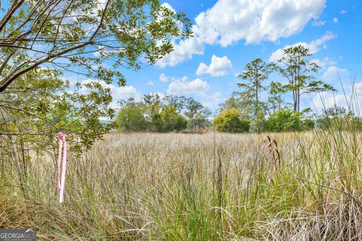 Vacant Land For Sale - 181-199 Burton Road<br/> Chatham County, Savannah, GA 31405