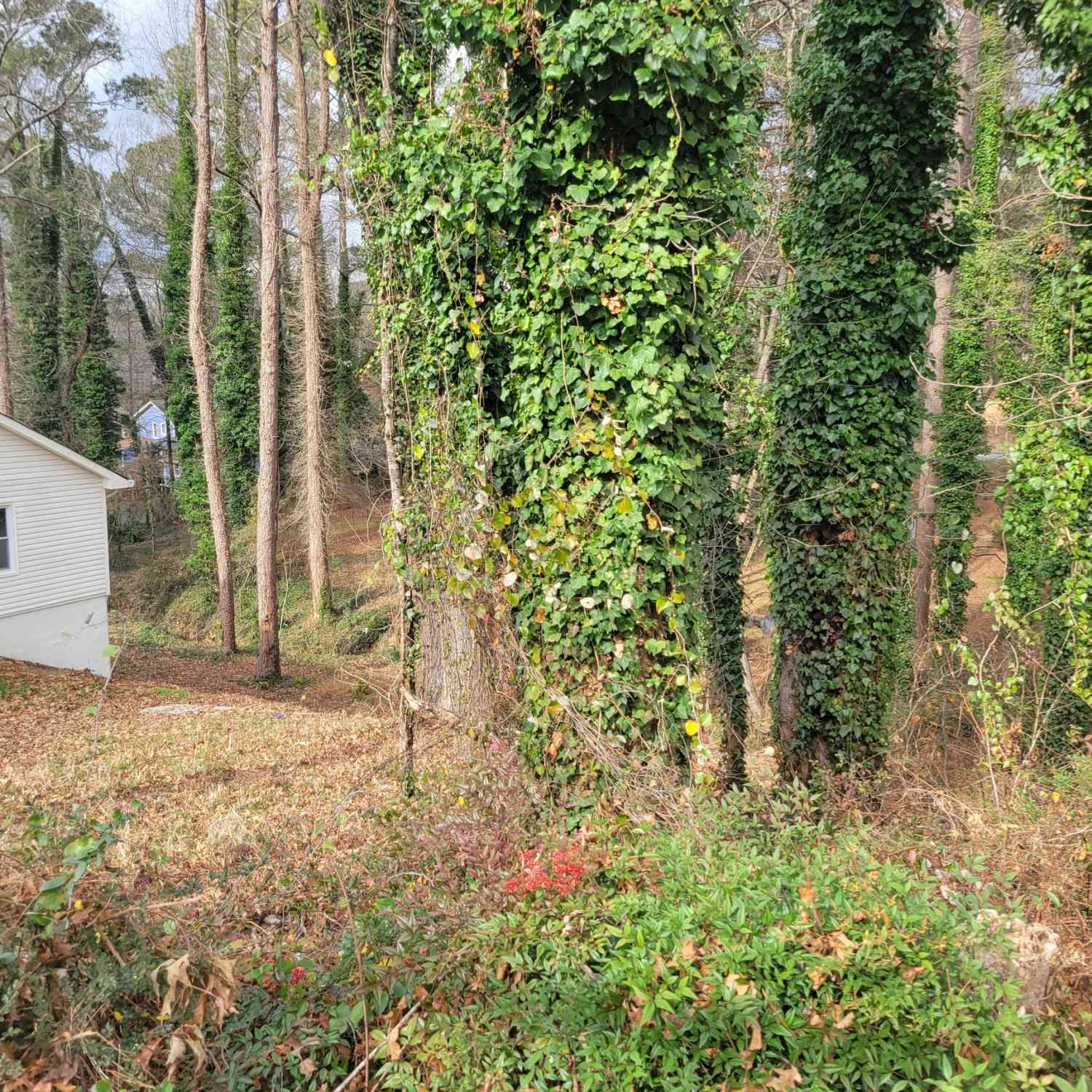Vacant Land For Sale - 21 Saratoga Drive<br/> Lawrenceville, GA 30044