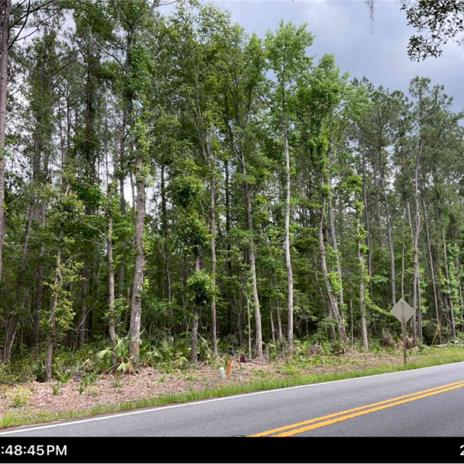 Vacant Land For Sale - Dover Bluff Road<br/> Waverly, GA 31565