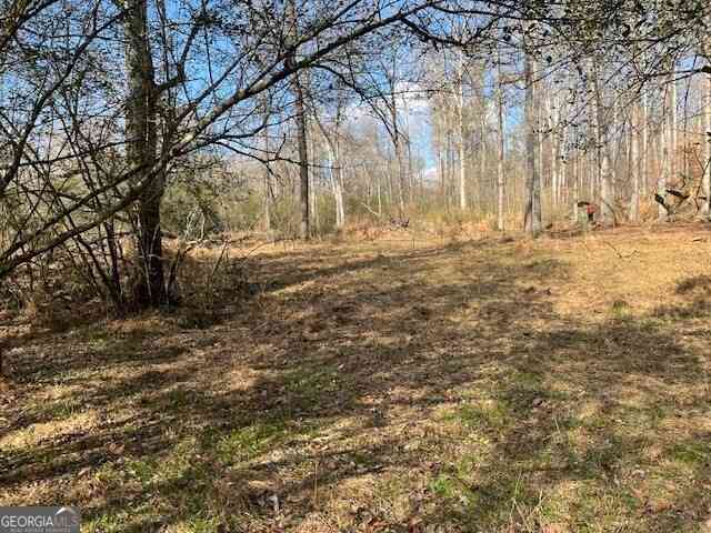 Vacant Land For Sale - Mountain Creek Drive<br/> Rome, GA 30161