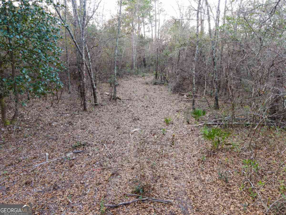 Vacant Land For Sale - Floyd Road #LOT 9<br/> Pembroke, GA 31321