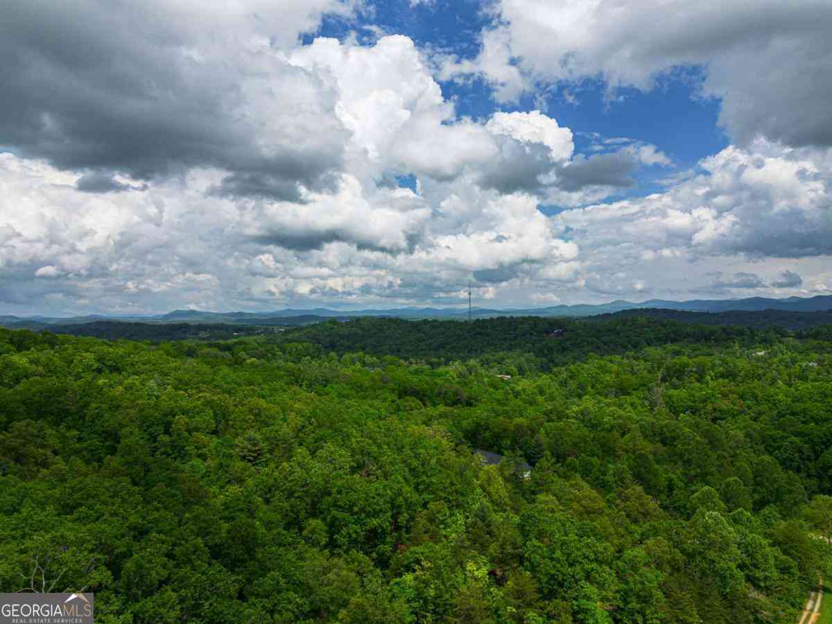 Vacant Land For Sale - TRACT 2 Century Lane<br/> Blue Ridge, GA 30513