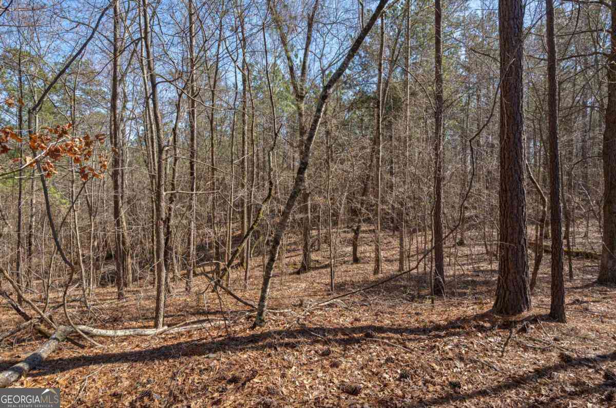 Vacant Land For Sale - Kent Rock Road<br/> Loganville, GA 30052