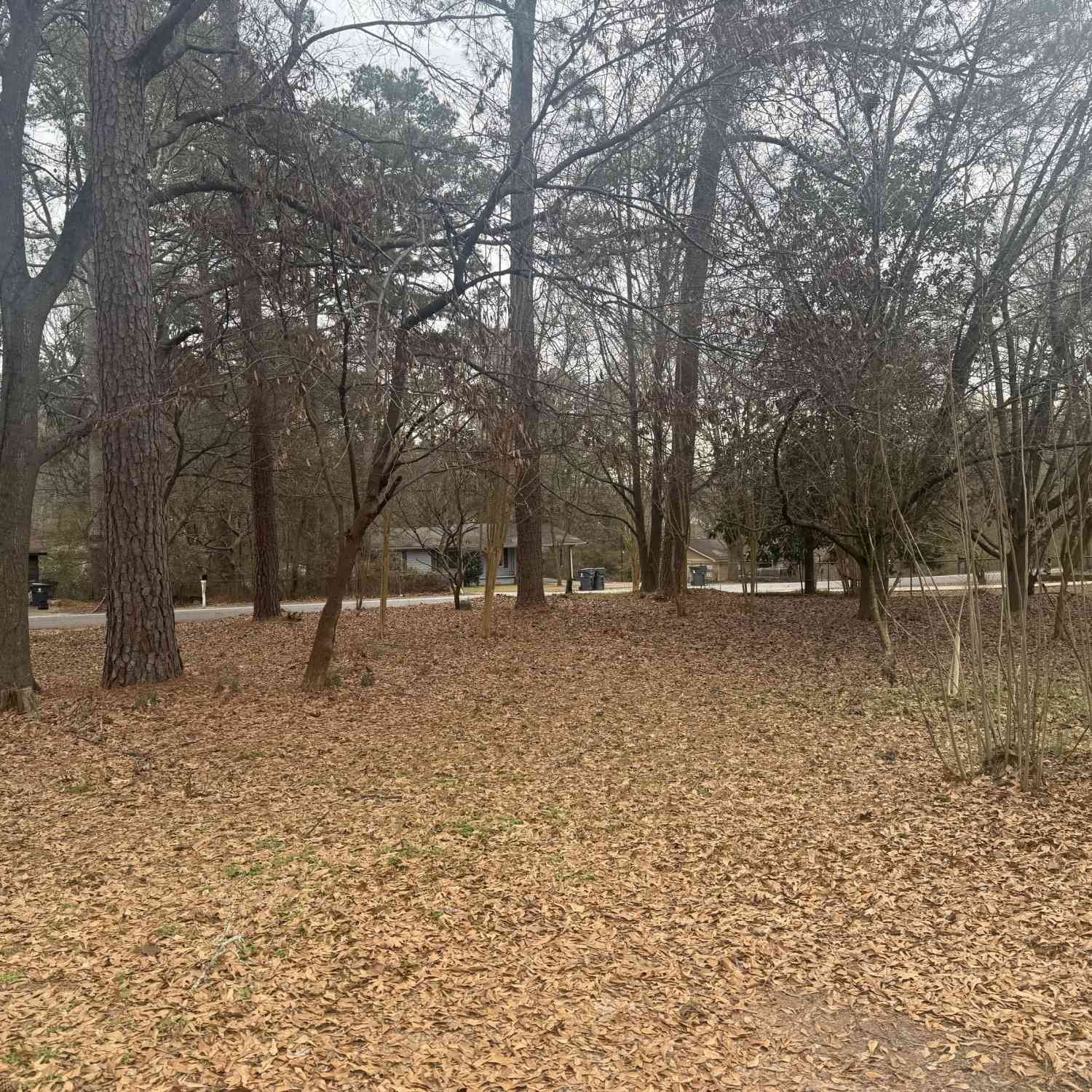 Vacant Land For Sale - Spring Street<br/> Stockbridge, GA 30281
