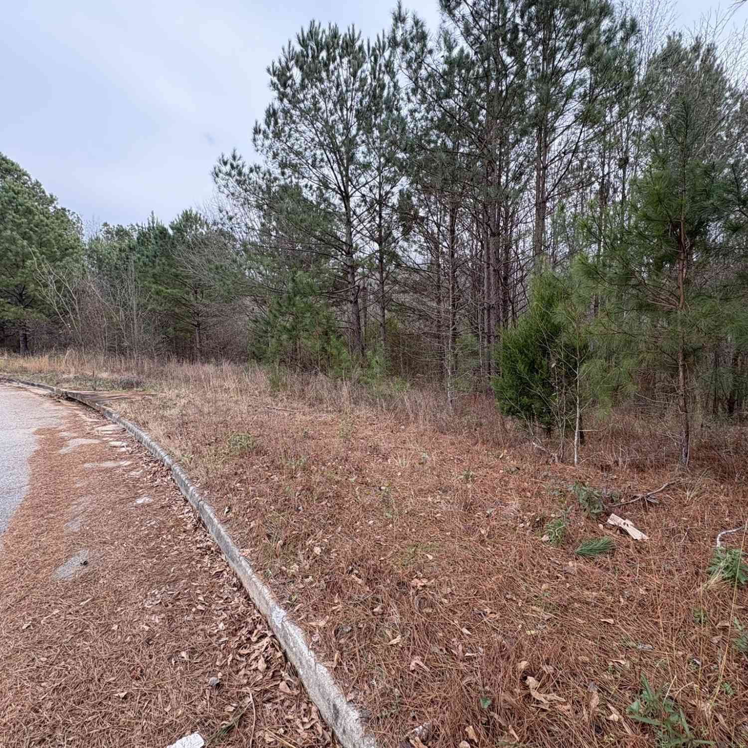 Condo For Sale - 125 Cardell Farms Road #57<br/> Locust Grove, GA 30248