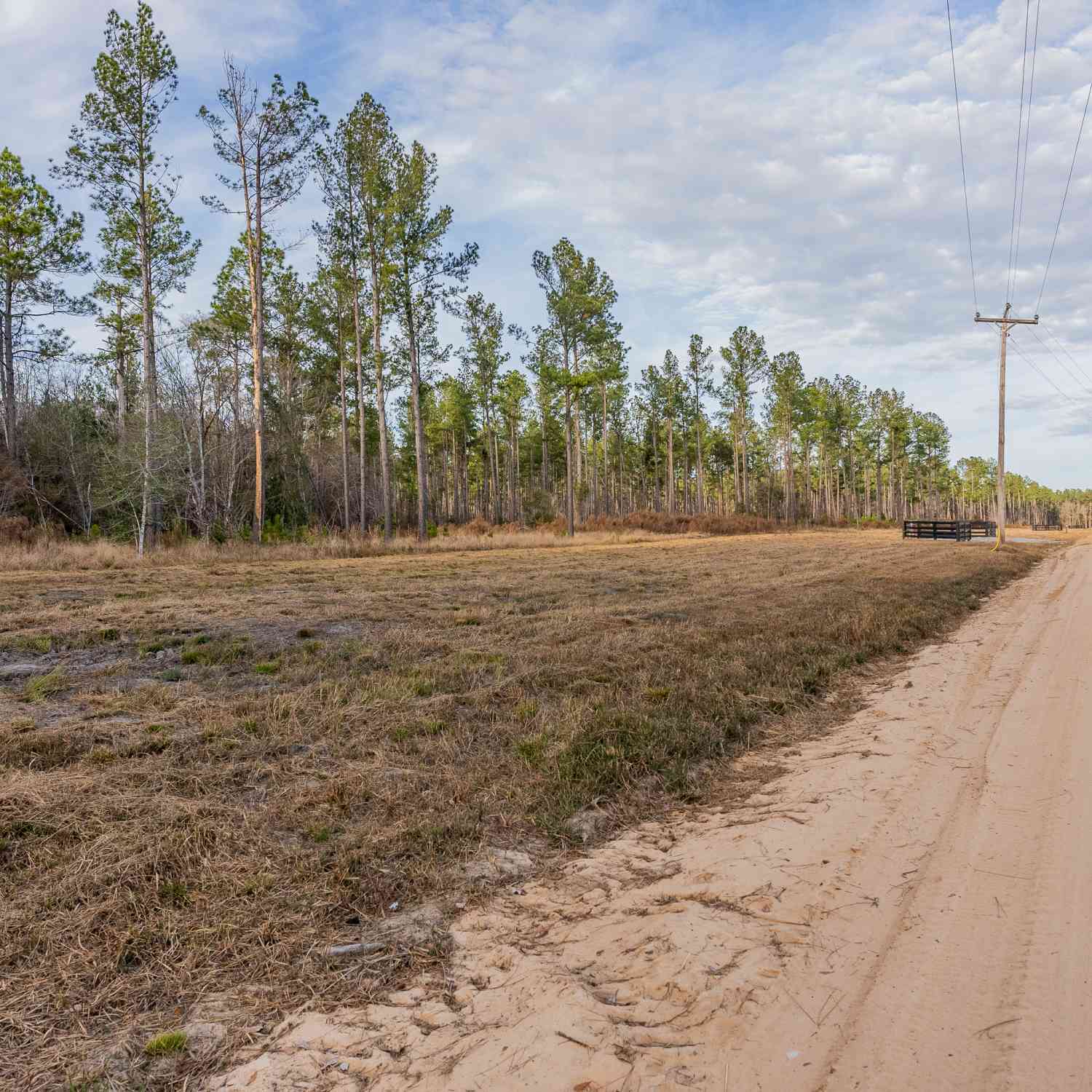 Vacant Land For Sale - LOT 2 Arcola Road<br/> Brooklet, GA 30415