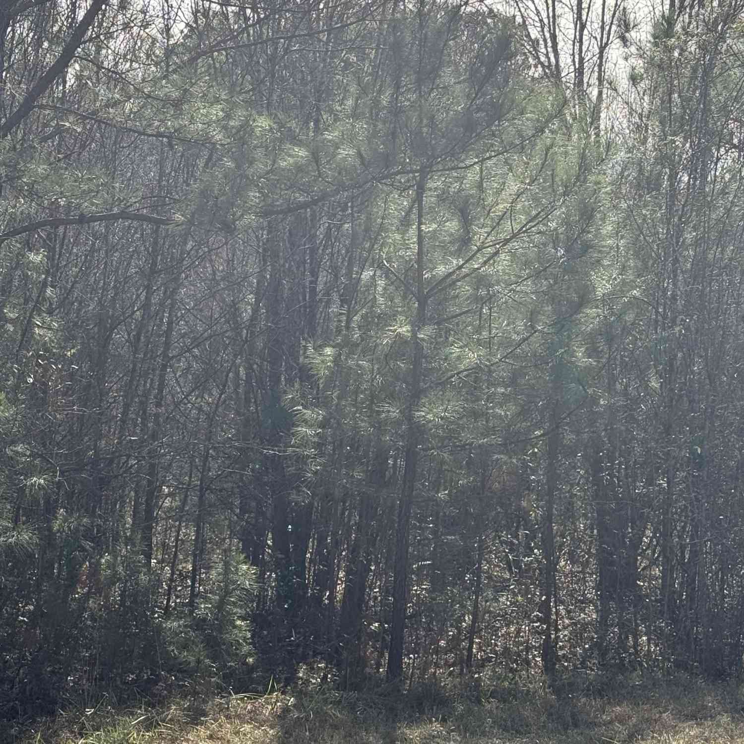 Vacant Land For Sale - 13905 Brown Bridge Road<br/> Covington, GA 30016