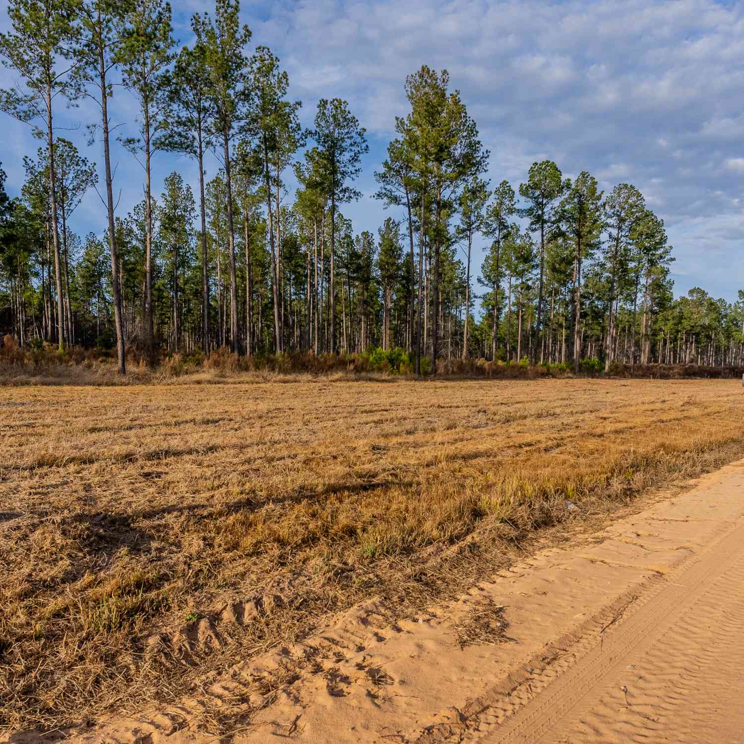 Vacant Land For Sale - LOT 3 Arcola Road<br/> Brooklet, GA 30415