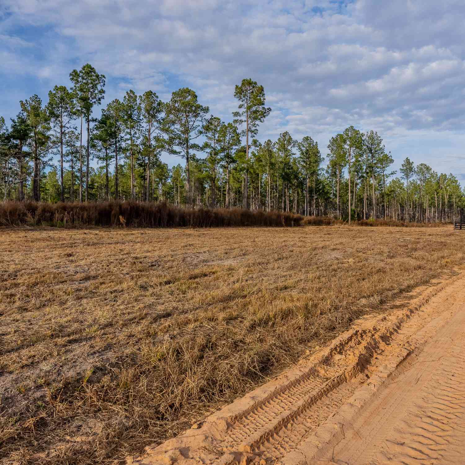 Vacant Land For Sale - LOT 4 Arcola Road<br/> Brooklet, GA 30415
