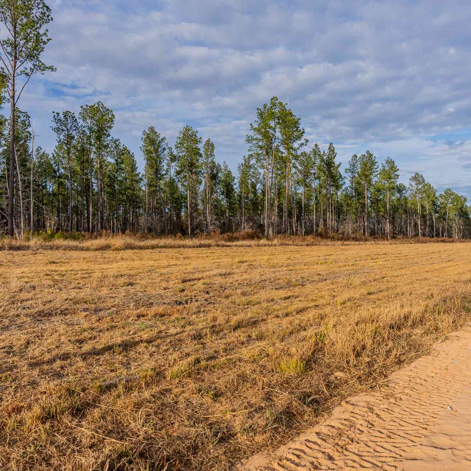 Vacant Land For Sale - LOT 5 Arcola Road<br/> Brooklet, GA 30415