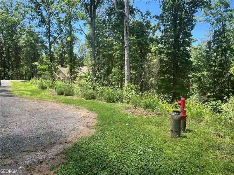 Vacant Land For Sale - 75 Hope Court<br/> Ellijay, GA 30540