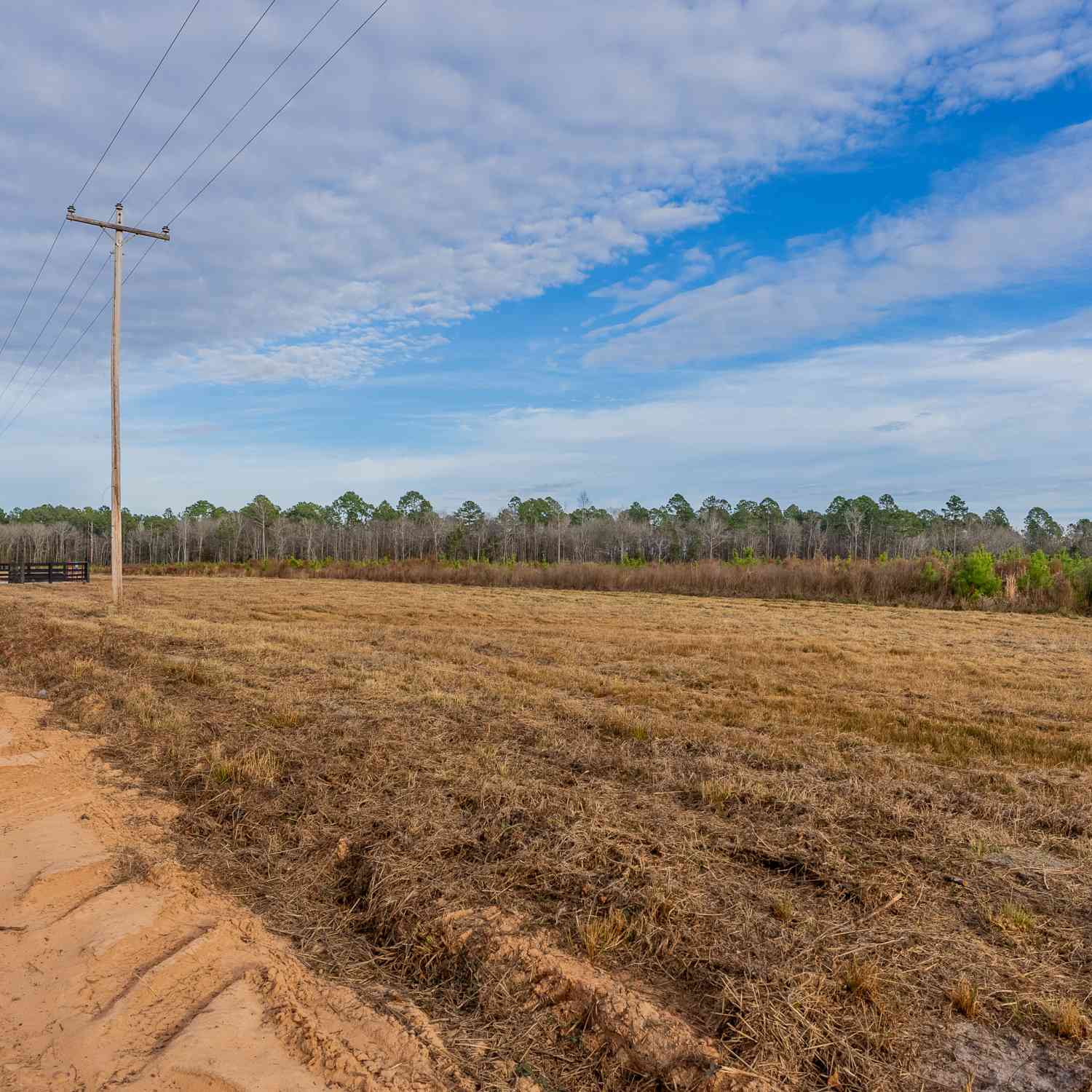 Vacant Land For Sale - LOT 9 Arcola Road<br/> Brooklet, GA 30415