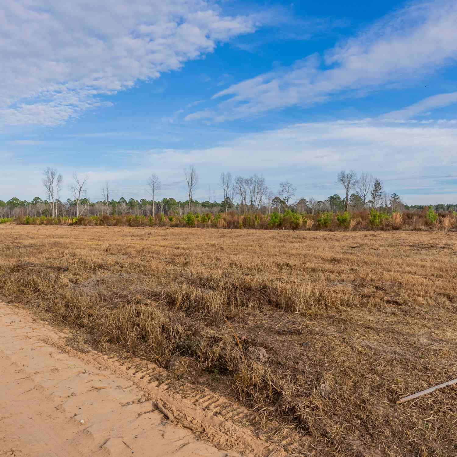 Vacant Land For Sale - LOT 10 Arcola Road<br/> Brooklet, GA 30415