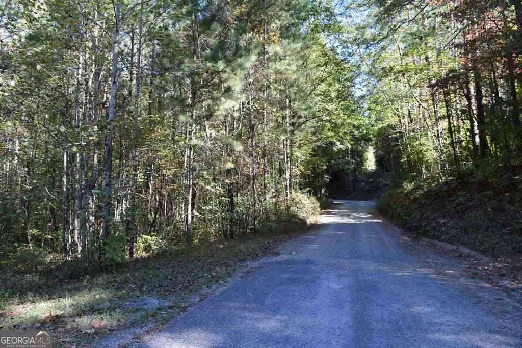 Vacant Land For Sale - 32.98 ACRES Zion Hill Road<br/> Ellijay, GA 30540