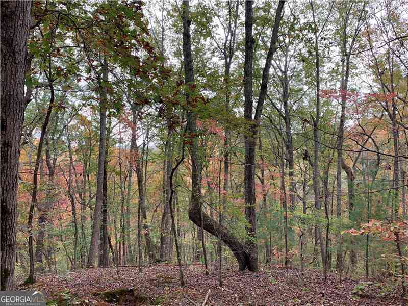 Vacant Land For Sale - 128 Adair Drive<br/> Ranger, GA 30734