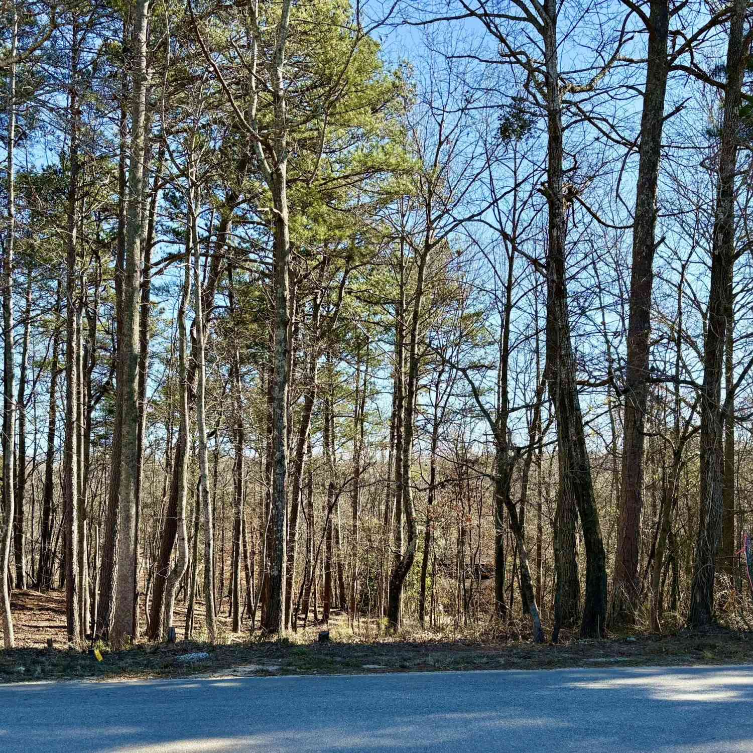 Vacant Land For Sale - N Waterworks Road<br/> Buford, GA 30518