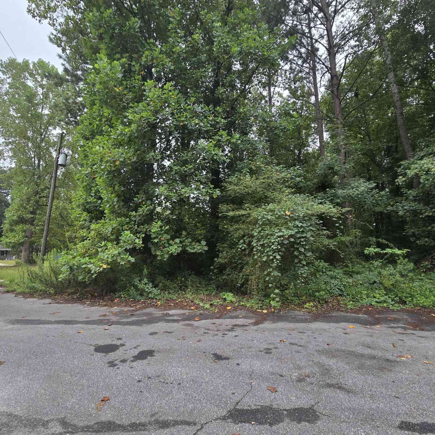 Vacant Land For Sale - 8043 Sparrow Court<br/> Jonesboro, GA 30238