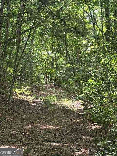 Vacant Land For Sale - 10.96 AC Paramount Trail<br/> Ellijay, GA 30536