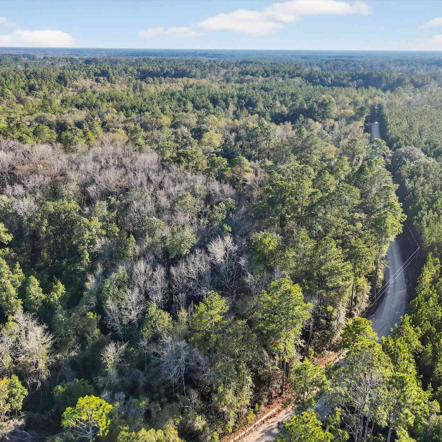 Vacant Land For Sale - Beautiful Zion Cemetary Road<br/> Pembroke, GA 31321