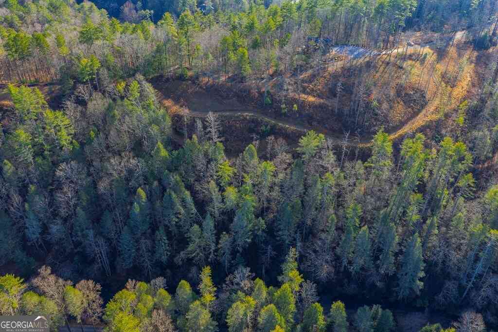 Vacant Land For Sale - TRACT B Hicks Ford Road<br/> Ellijay, GA 30540