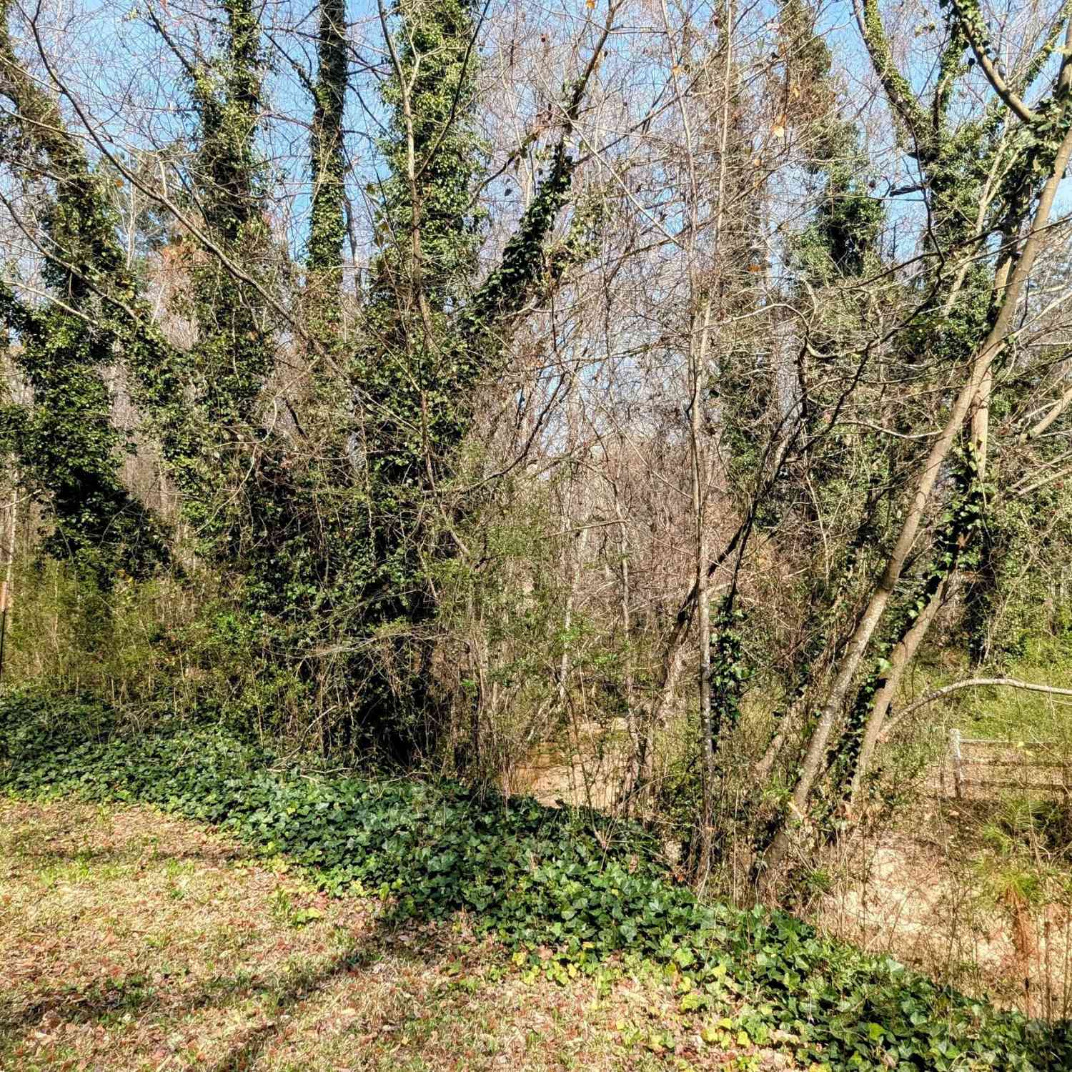 Vacant Land For Sale - 6609 Crossing Creek Point<br/> Austell, GA 30168