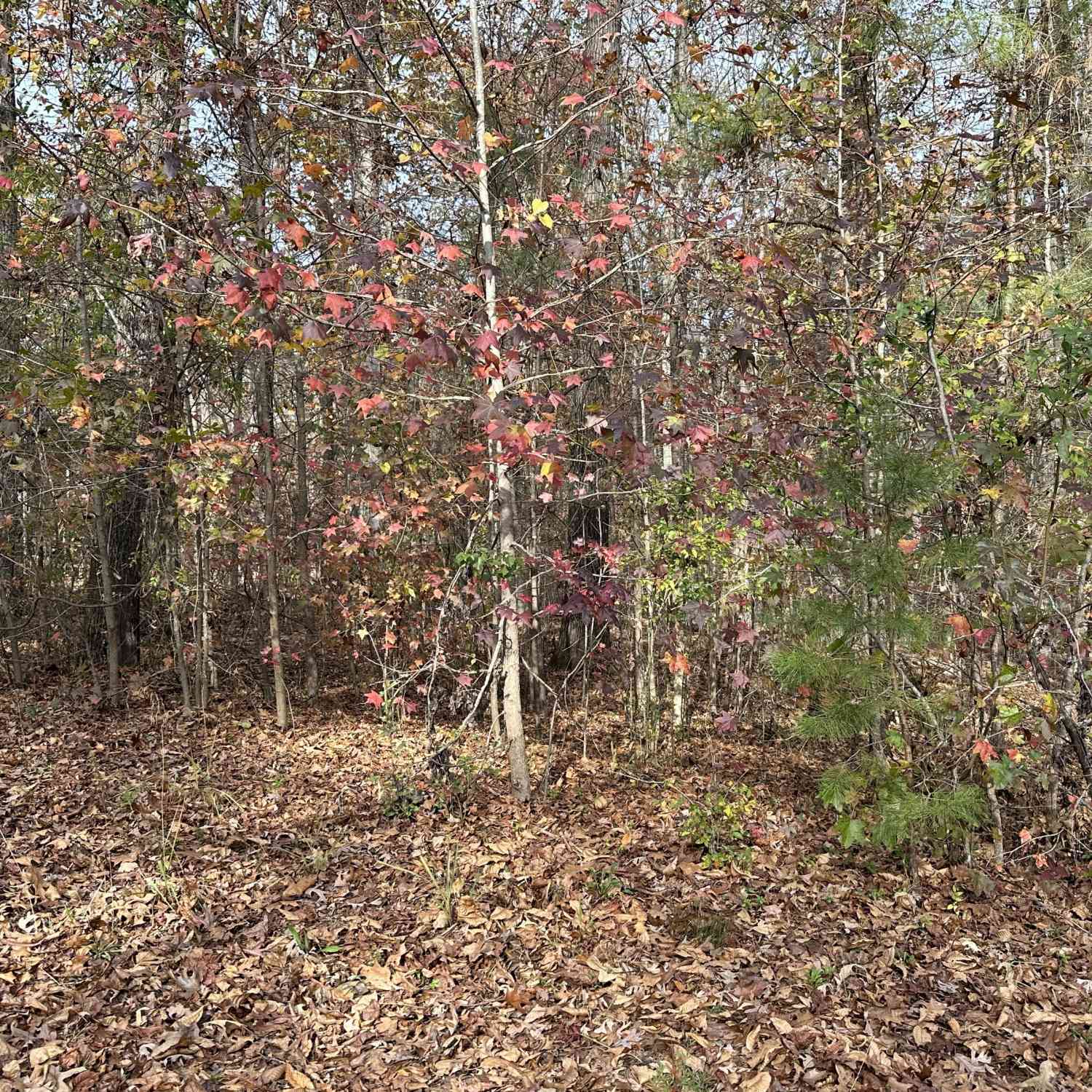 Vacant Land For Sale - 350 Antebellum Way<br/> Fayetteville, GA 30215