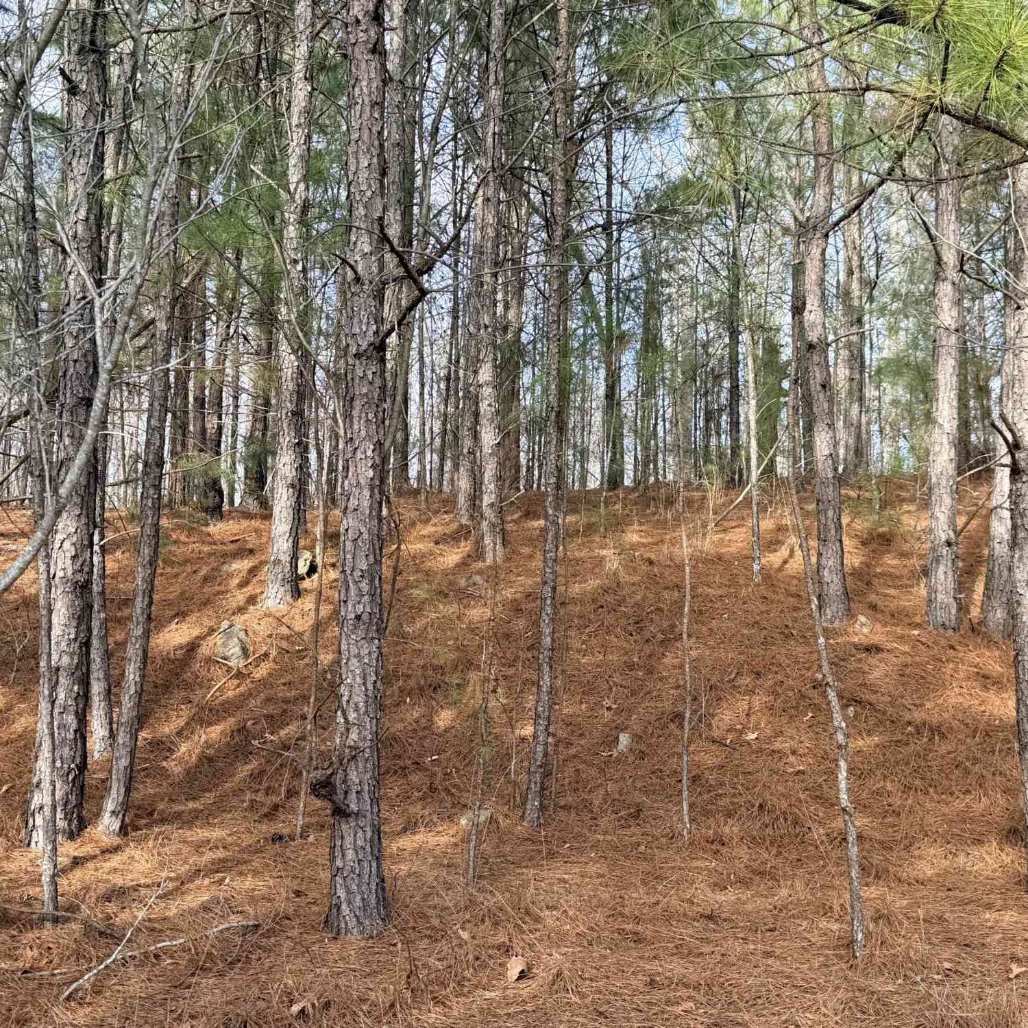 Vacant Land For Sale - 1573 Norris Lake Way<br/> Dekalb County, Snellville, GA 30039