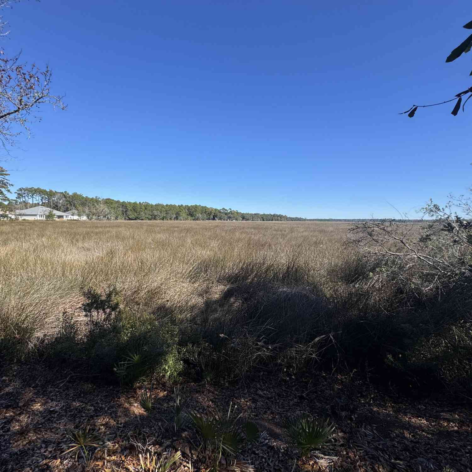 Vacant Land For Sale - Carrington Court<br/> Kingsland, GA 31548
