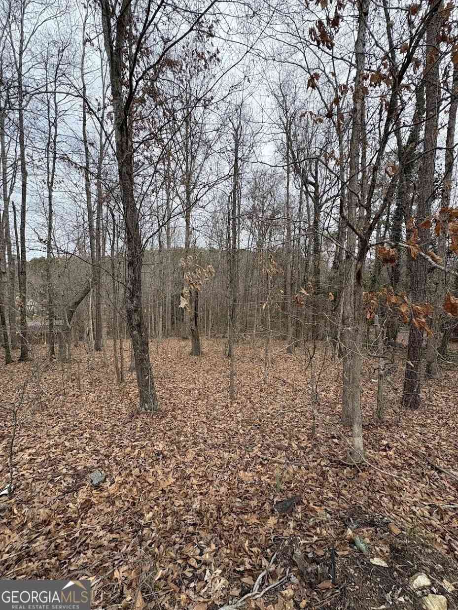 Vacant Land For Sale - Polk Avenue<br/> Dallas, GA 30132