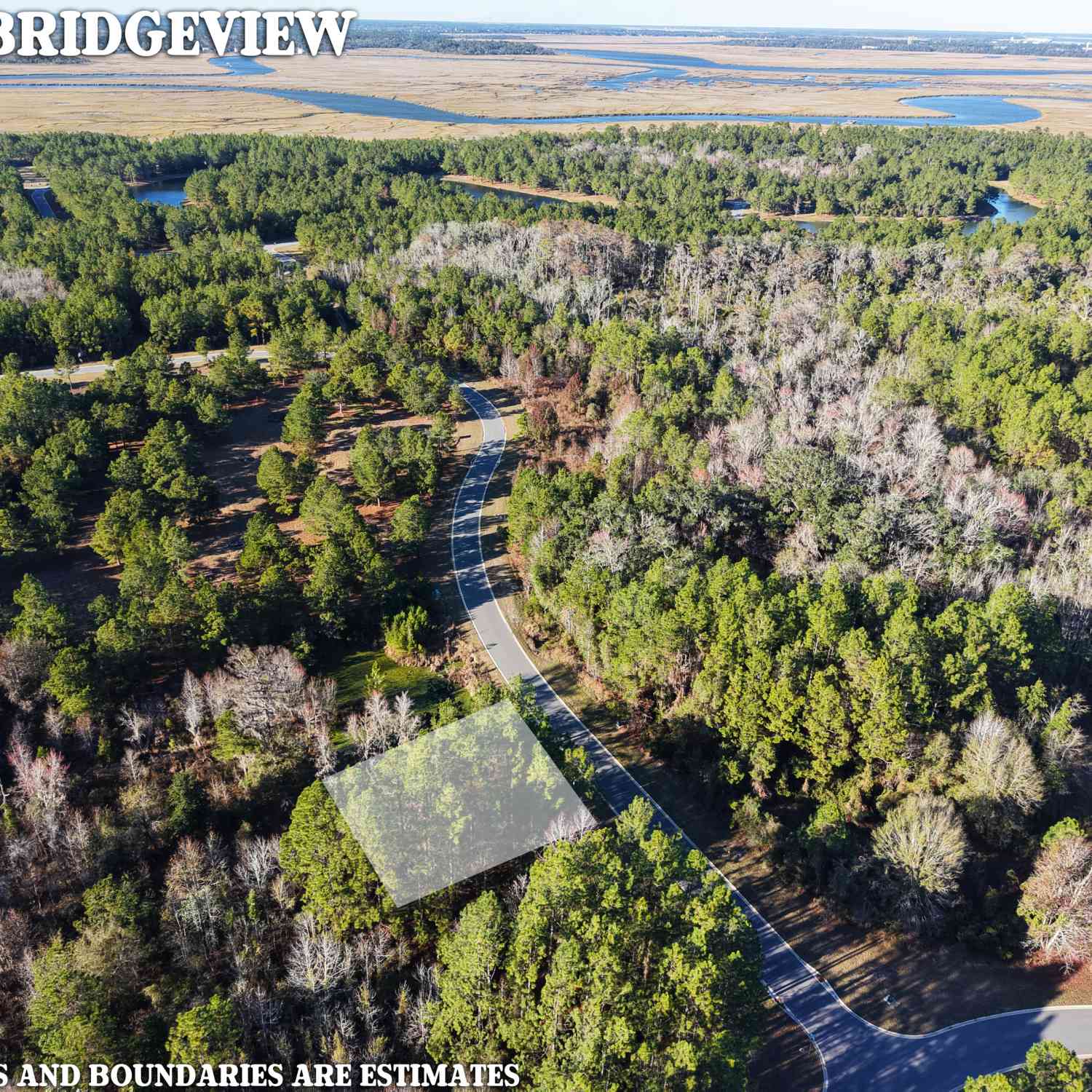 Vacant Land For Sale - LOT 388 Bridge View Lane<br/> Waverly, GA 31565