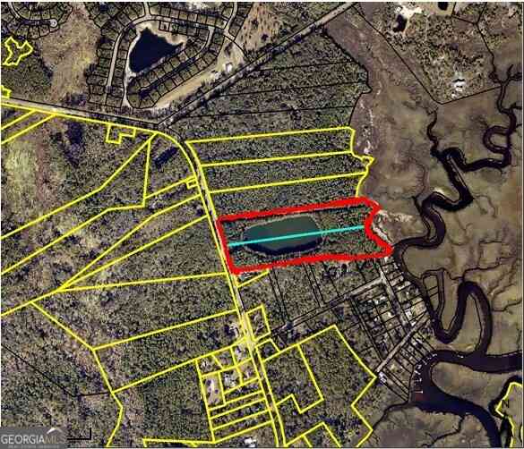 Vacant Land For Sale - 21 Acres Dover Bluff Road<br/> Waverly, GA 31565