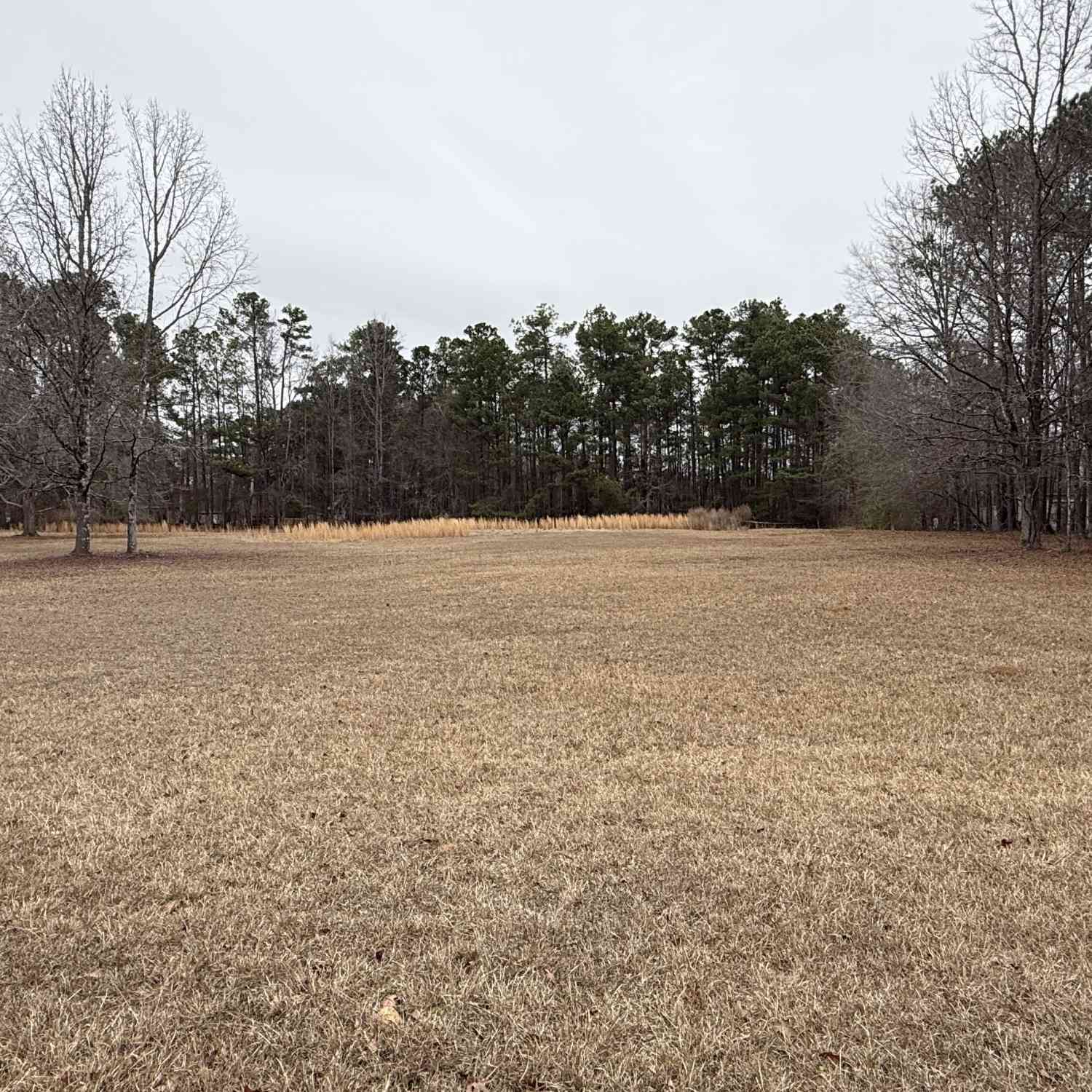 Vacant Land For Sale - 225 Griffin Mountain Trail NE<br/> Conyers, GA 30013