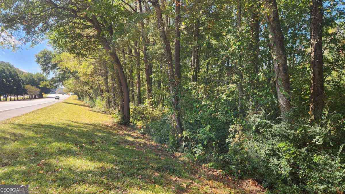 Vacant Land For Sale - Bullsboro Drive<br/> Newnan, GA 30265