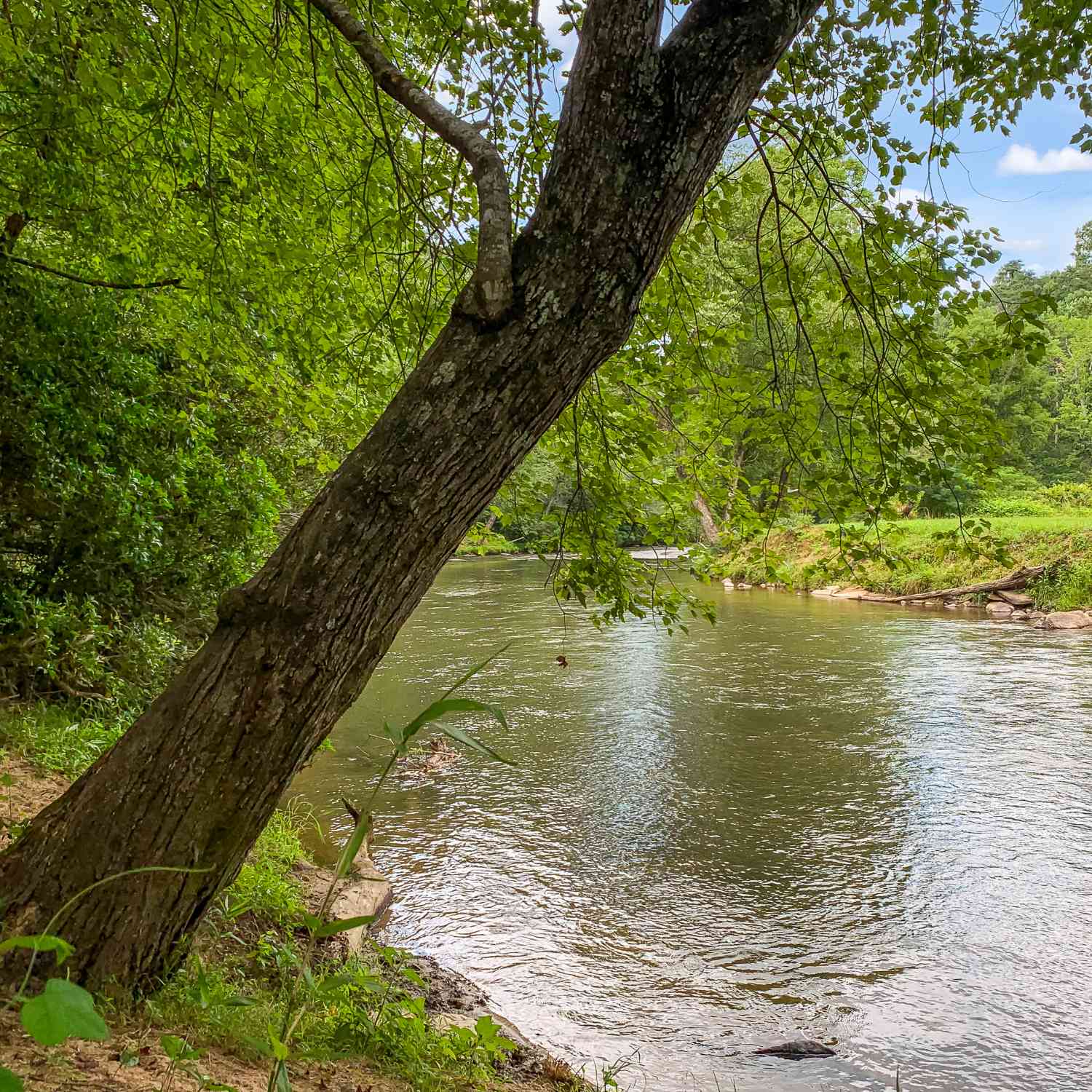 Vacant Land For Sale - LOT 17 Misty Mountain Trail<br/> Ellijay, GA 30536