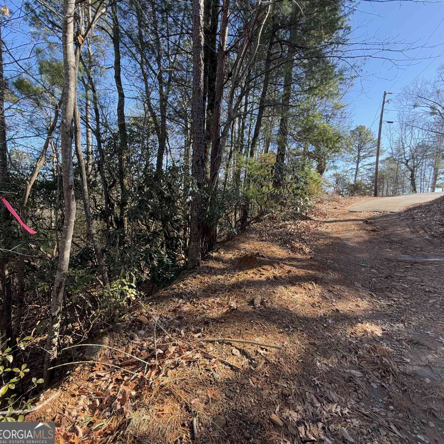 Vacant Land For Sale - Confederate Drive #LOT 574<br/> Clayton, GA 30525
